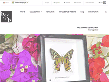 Tablet Screenshot of bitsandbugs.com